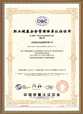 Occupational health and safety management system certification